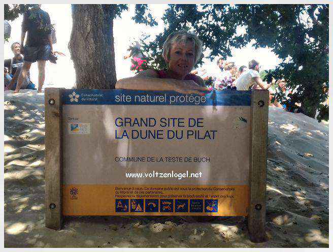 Vue panoramique de la Dune du Pilat avec le Bassin d'Arcachon en arrière-plan