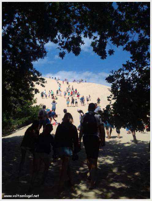 Vue panoramique de la Dune du Pilat avec le Bassin d'Arcachon en arrière-plan