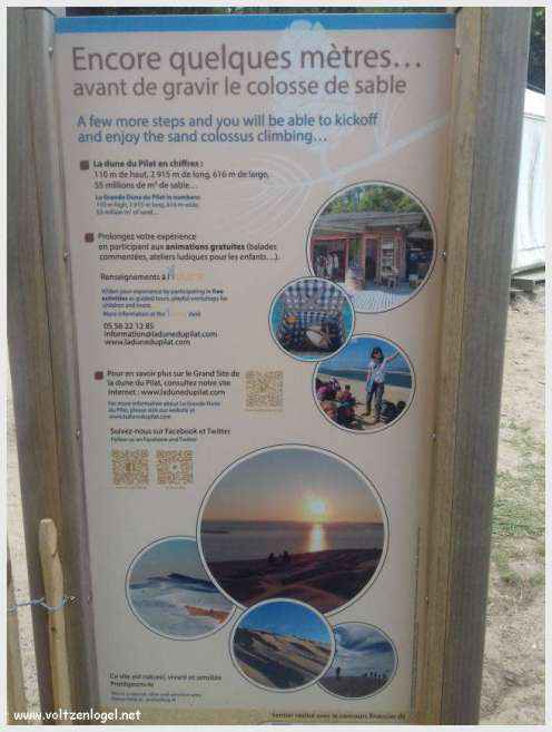 Vue panoramique de la Dune du Pilat avec le Bassin d'Arcachon en arrière-plan