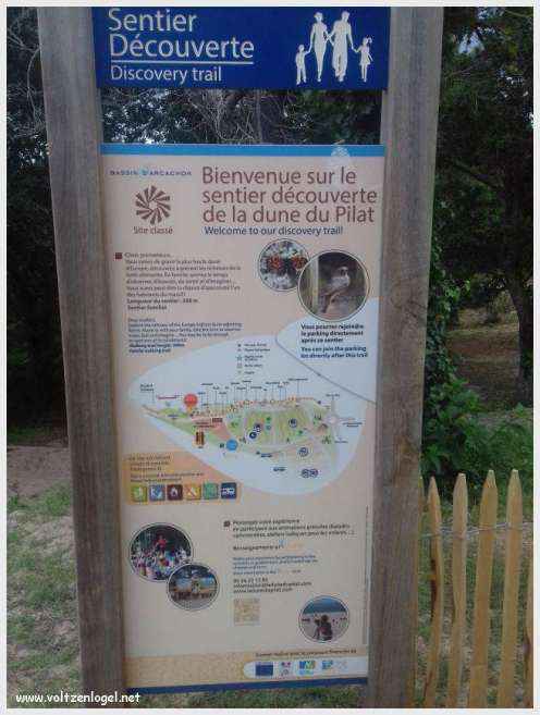 Vue panoramique de la Dune du Pilat avec le Bassin d'Arcachon en arrière-plan