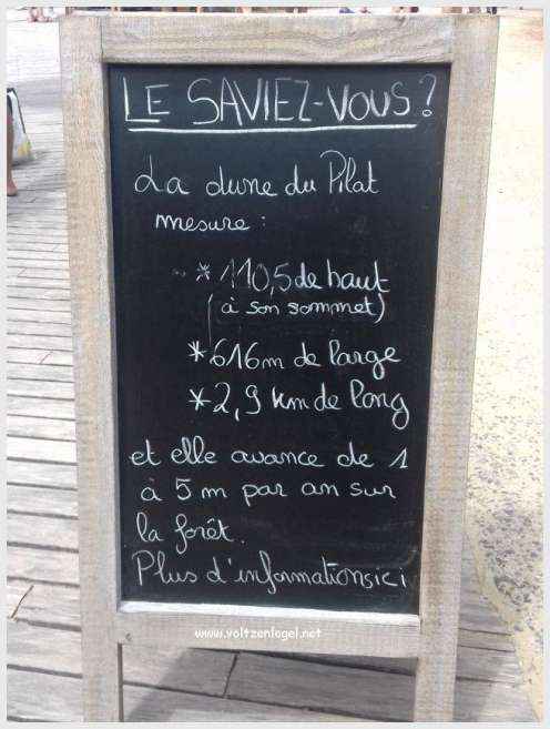 Vue panoramique de la Dune du Pilat avec le Bassin d'Arcachon en arrière-plan