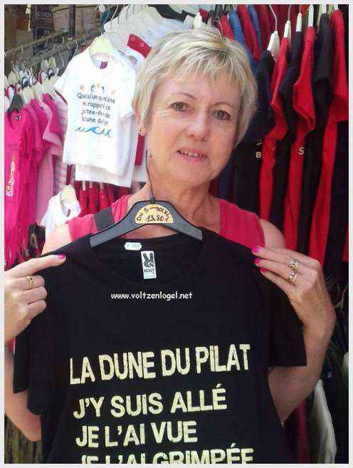 Vue panoramique de la Dune du Pilat avec le Bassin d'Arcachon en arrière-plan