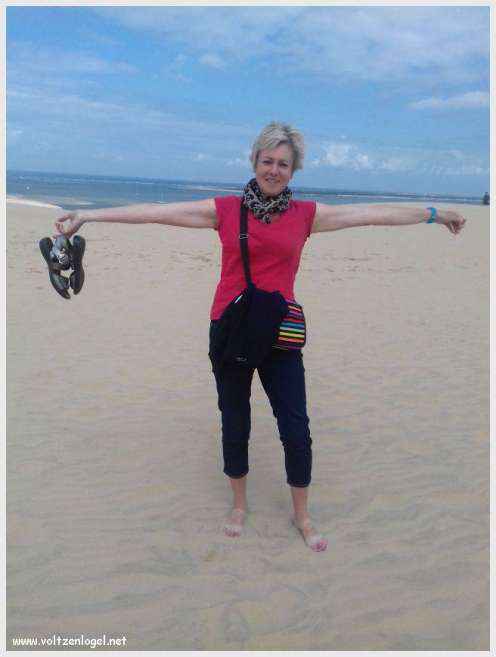 Vue panoramique de la Dune du Pilat avec le Bassin d'Arcachon en arrière-plan