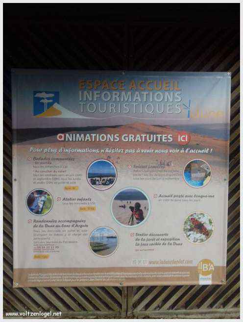 Vue panoramique de la Dune du Pilat avec le Bassin d'Arcachon en arrière-plan