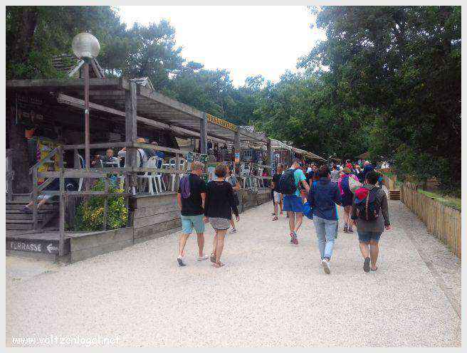 Vue panoramique de la Dune du Pilat avec le Bassin d'Arcachon en arrière-plan