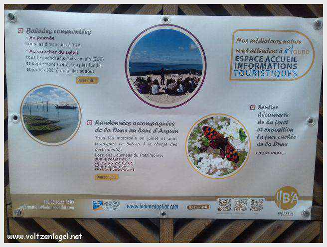 Vue panoramique de la Dune du Pilat avec le Bassin d'Arcachon en arrière-plan