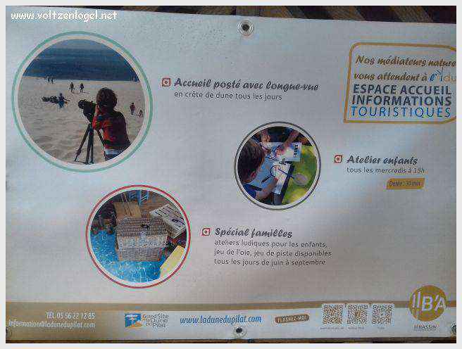 Vue panoramique de la Dune du Pilat avec le Bassin d'Arcachon en arrière-plan