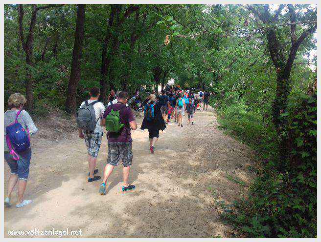 Vue panoramique de la Dune du Pilat avec le Bassin d'Arcachon en arrière-plan