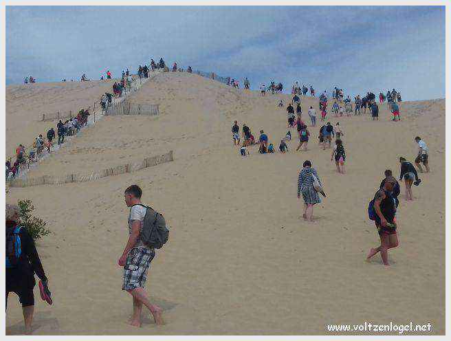 Vue panoramique de la Dune du Pilat avec le Bassin d'Arcachon en arrière-plan