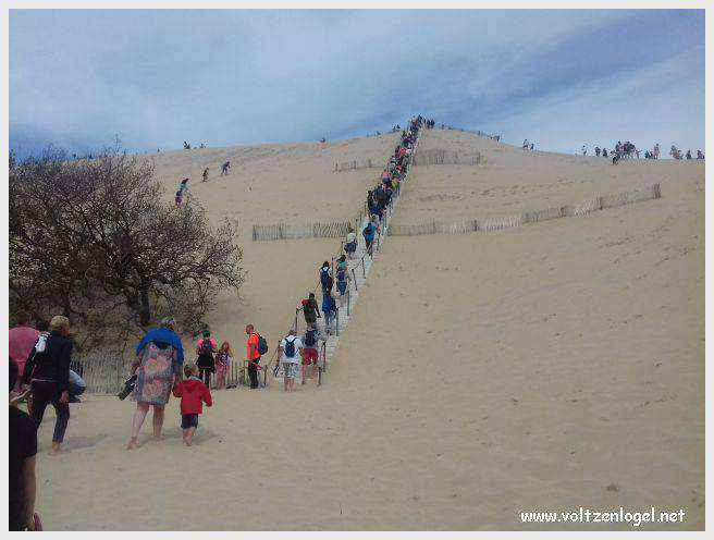 Vue panoramique de la Dune du Pilat avec le Bassin d'Arcachon en arrière-plan