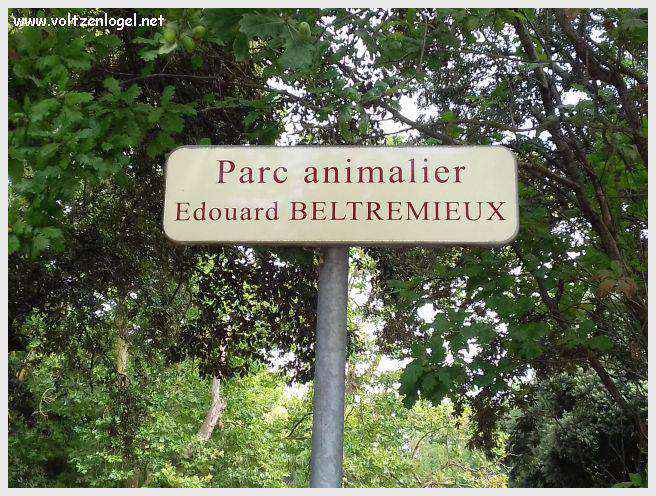 Tour Saint-Nicolas à La Rochelle, emblème médiéval du vieux port