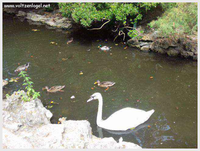 Tour Saint-Nicolas à La Rochelle, emblème médiéval du vieux port
