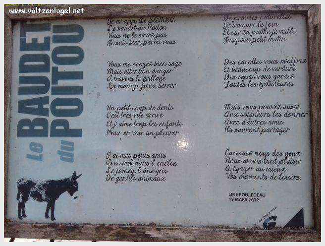 Tour Saint-Nicolas à La Rochelle, emblème médiéval du vieux port