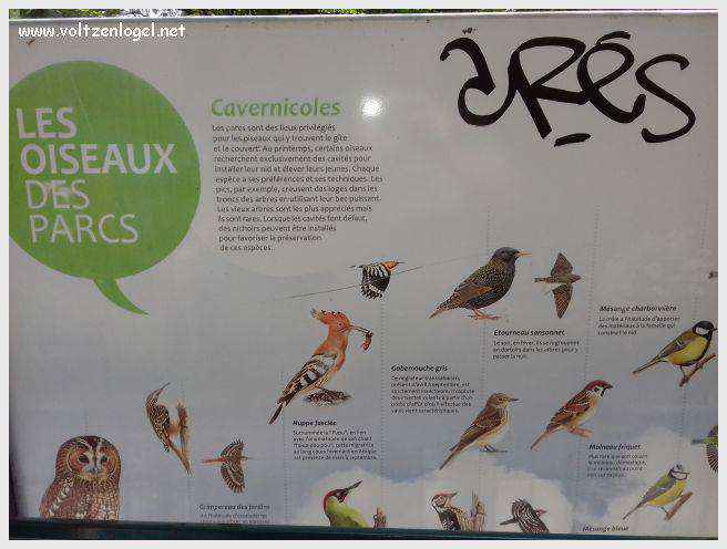 Tour Saint-Nicolas à La Rochelle, emblème médiéval du vieux port