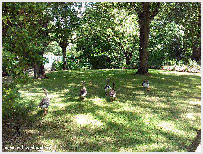 Tour Saint-Nicolas à La Rochelle, emblème médiéval du vieux port