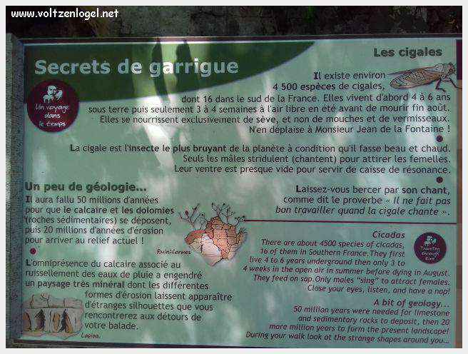 Paysage pittoresque de Labeaume avec falaises calcaires et rivière Beaume