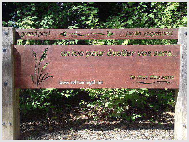 Vue panoramique du Lac du Bourget entouré de montagnes majestueuses