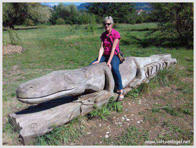 Vue panoramique du Lac du Bourget entouré de montagnes majestueuses