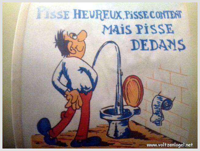 Vue panoramique du Lac du Bourget entouré de montagnes majestueuses