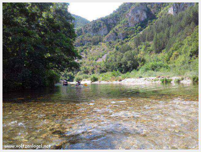 Exploration en barque des Gorges du Tarn à La Malène
