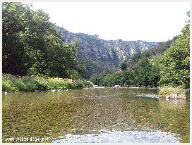 Exploration en barque des Gorges du Tarn à La Malène