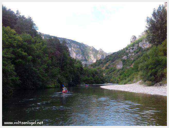 Exploration en barque des Gorges du Tarn à La Malène