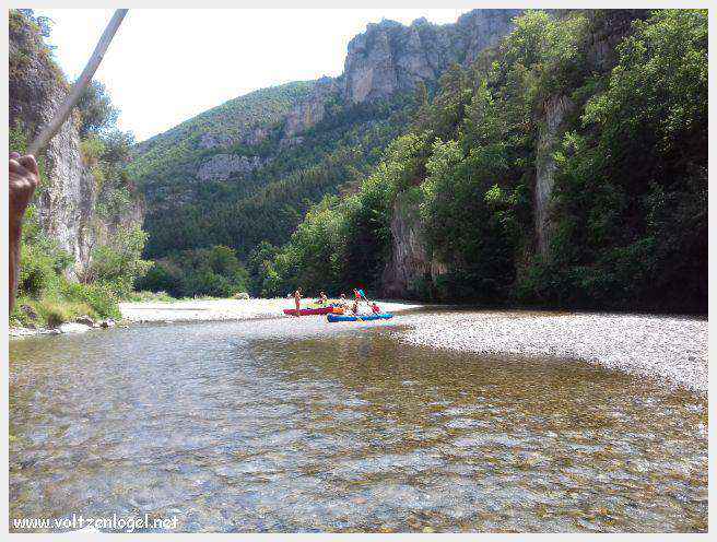 Exploration en barque des Gorges du Tarn à La Malène