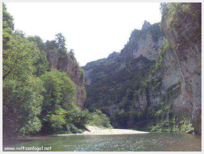 Exploration en barque des Gorges du Tarn à La Malène
