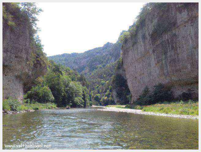Exploration en barque des Gorges du Tarn à La Malène