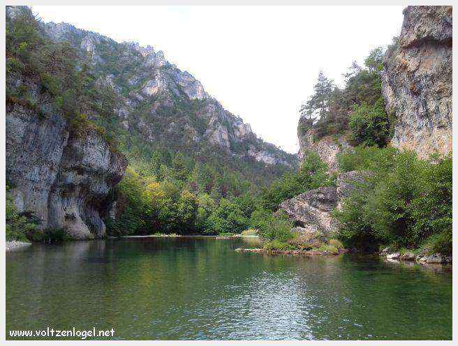 Exploration en barque des Gorges du Tarn à La Malène