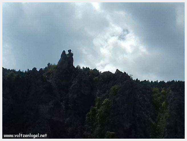 Exploration en barque des Gorges du Tarn à La Malène