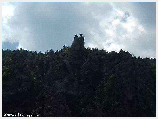 Exploration en barque des Gorges du Tarn à La Malène