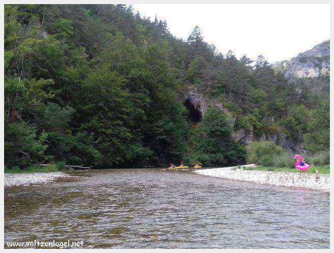 Exploration en barque des Gorges du Tarn à La Malène