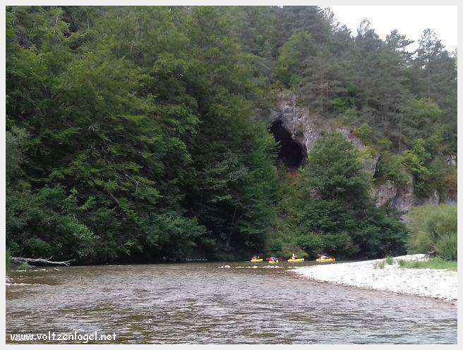 Exploration en barque des Gorges du Tarn à La Malène