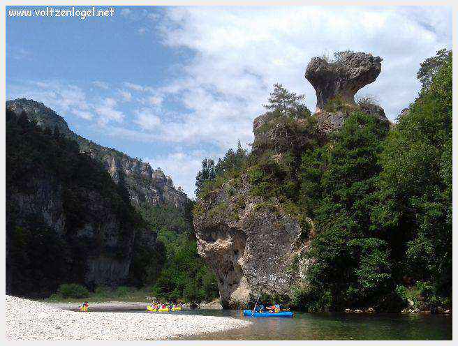Exploration en barque des Gorges du Tarn à La Malène