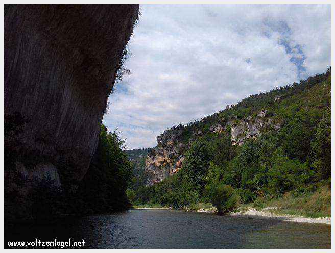Exploration en barque des Gorges du Tarn à La Malène