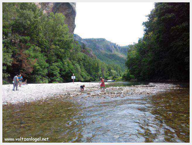 Exploration en barque des Gorges du Tarn à La Malène