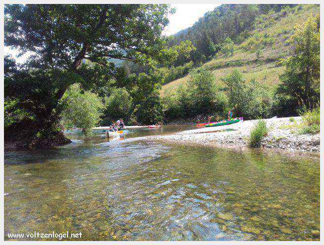 Exploration en barque des Gorges du Tarn à La Malène