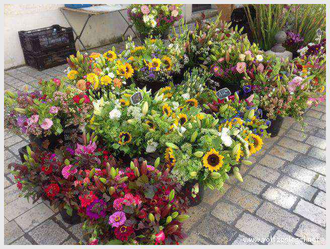 Vue panoramique des Tours de La Rochelle surplombant le Vieux Port historique.