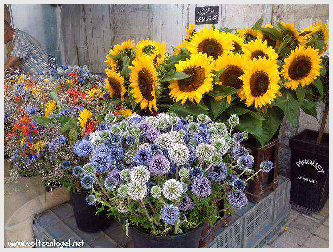 Vue panoramique des Tours de La Rochelle surplombant le Vieux Port historique.