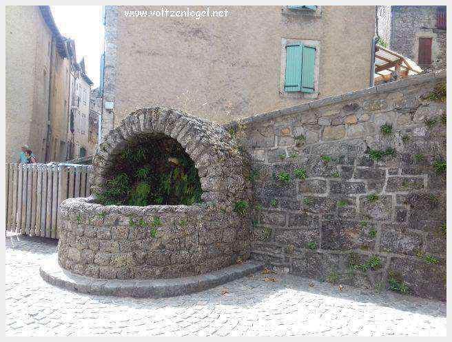 Vue panoramique de Meyrueis entre Causses et Cévennes, trésor naturel et culturel