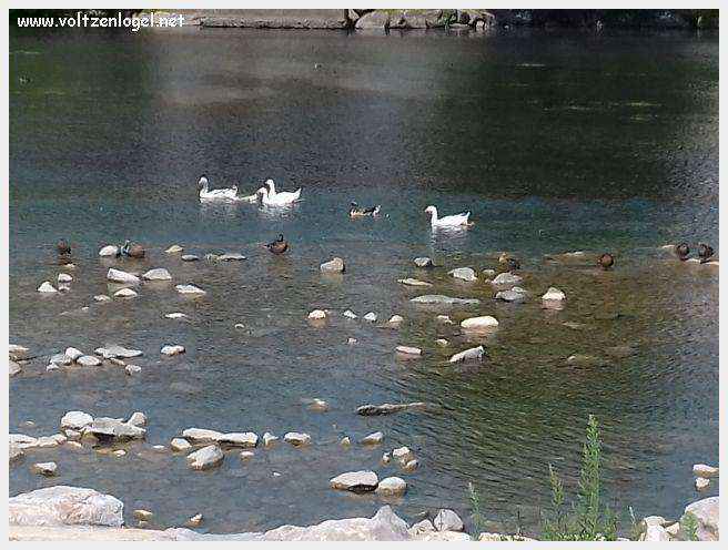 Vue panoramique de Millau avec le Viaduc et les Gorges du Tarn en arrière-plan