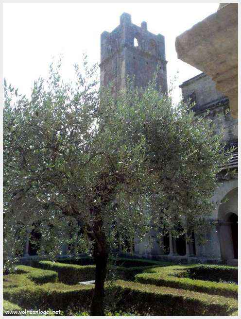 Cathédrale Notre-Dame à Vaison-la-Romaine, symbole de l'architecture romane et médiévale