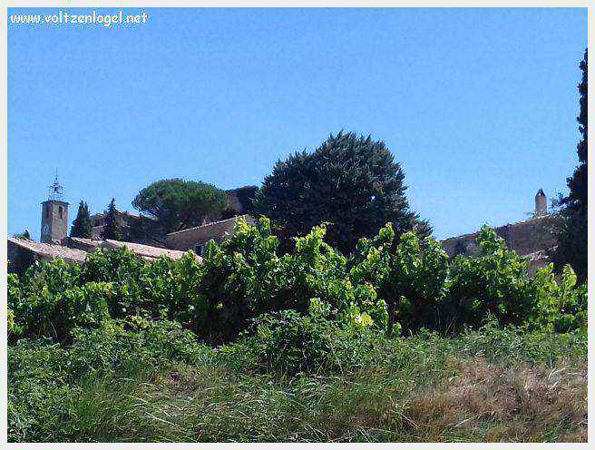 Vue panoramique sur Faucon et le Mont-Ventoux, symboles de la Provence authentique.