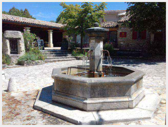 Faucon au Pays Ventoux