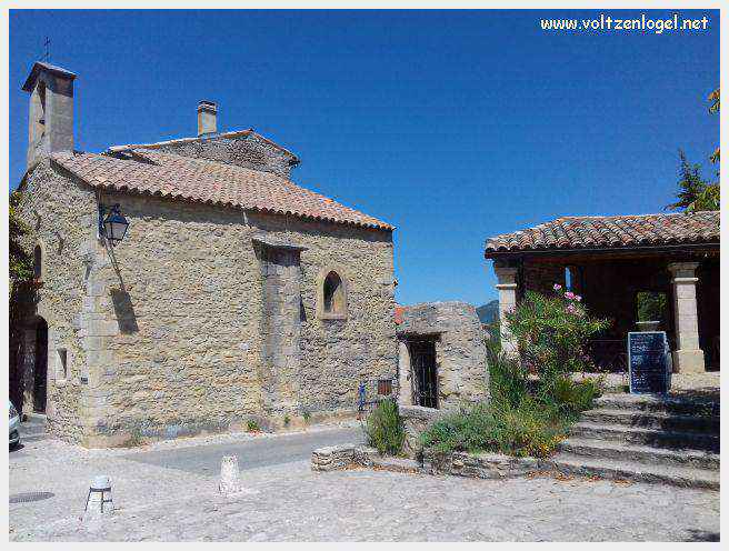 Faucon au Pays Ventoux
