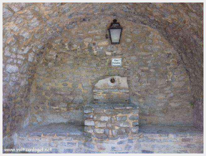 Faucon au Pays Ventoux