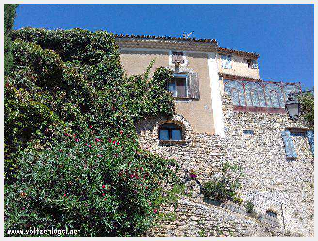 Faucon au Pays Ventoux