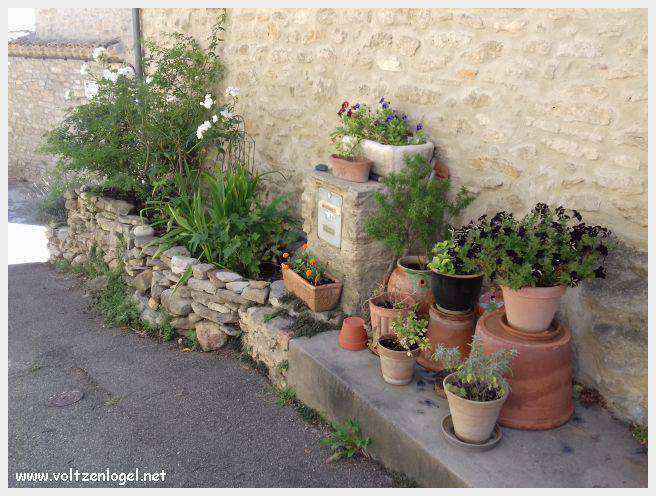 Faucon au Pays Ventoux
