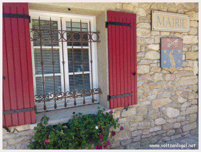 Faucon au Pays Ventoux